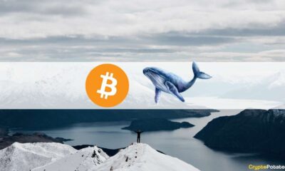 Local-Top Indicators for Bitcoin: The 3rd Biggest Whale Sent 3,00 BTC to Coinbase