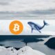 Local-Top Indicators for Bitcoin: The 3rd Biggest Whale Sent 3,00 BTC to Coinbase