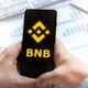 Is BNB protected from crypto meltdown?