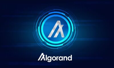Hedera and Algorand forge an alliance for crypto recovery