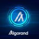 Hedera and Algorand forge an alliance for crypto recovery