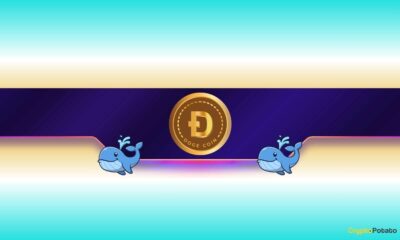 30,000,000 DOGE in Just 1 Day: Is Dogecoin Gearing up for Further Rally?