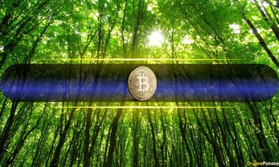 Bitcoin Smashes Weekly Inflow Records with $3.55 Billion Surge