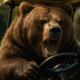 Bitcoin’s Price Stumbles Again: Longs Get Wrecked and Bears Take the Wheel
