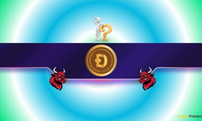Dogecoin (DOGE) Could be on the Verge of a Huge Move: Crash or Rally Comes Next?